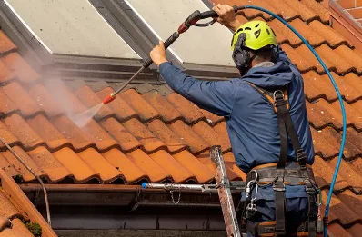 Démoussage et hydrofuge de toiture à Hérisson